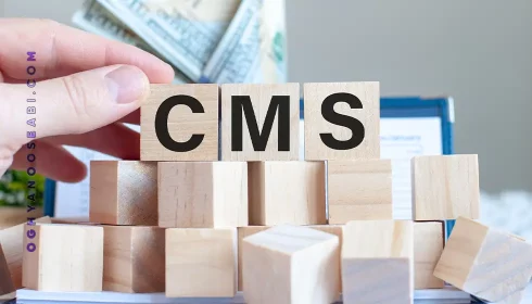 cms چیست